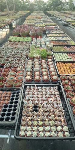 Beauty Chen's House in Tianwei