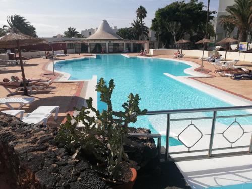 Apartamento Luca 05 en Playa Roca 1