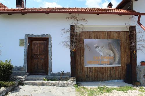 Casa Veverita 3