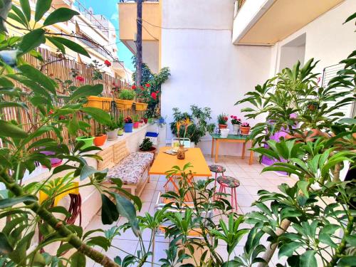 Casa Bonita, House with Private Entrance and Garden, between center and sea, Atény (fotografie 3)