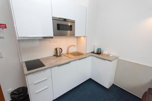 Kamalip Apartment Frymburk in Frymburk