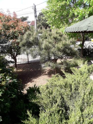 Hotel Holiday - image 13