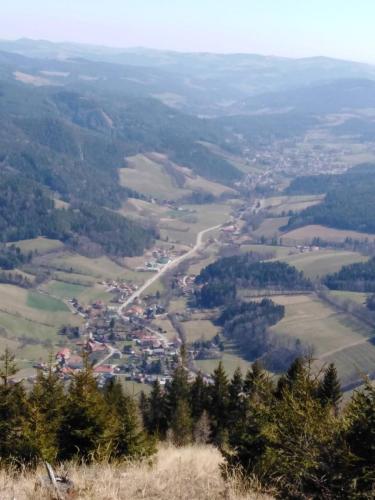 Ferienhaus Bauer Wohnung 2 in Trattenbach