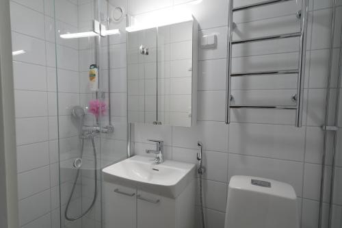Bathroom, Cozy Apartment near Turku Cathedral Church in Luostarinmaki