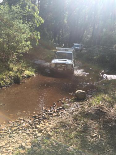 PNL 4WDriving Narbethong in Narbethong
