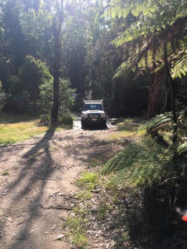 PNL 4WDriving Narbethong in Narbethong