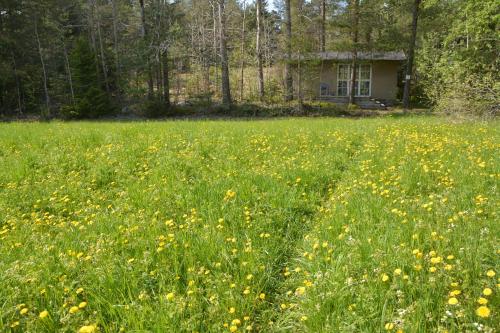 Sattmark EcoCabin in Salo