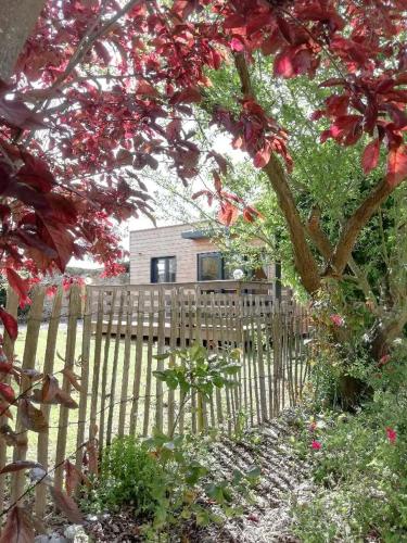 Beatrice 3