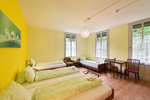 Budget Waldhotel Unspunnen