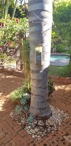 Africas Eden Guesthouse Naboomspruit South Africa