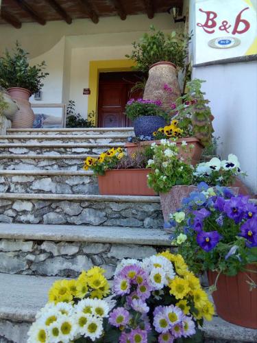  Casa d' Artista B&B in Ozieri