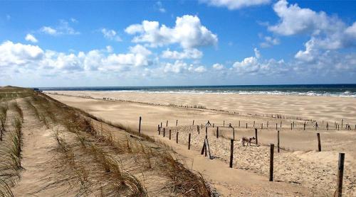 Beach Chalet Tranquilo, Petten (Foto 10)