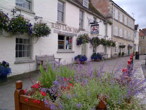 THE RED LION - image 9
