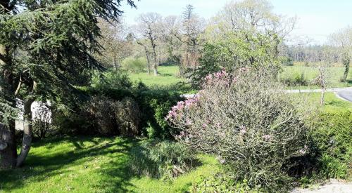 LE CHALET SUISSE - Chambre bleue in เลอวิเซล