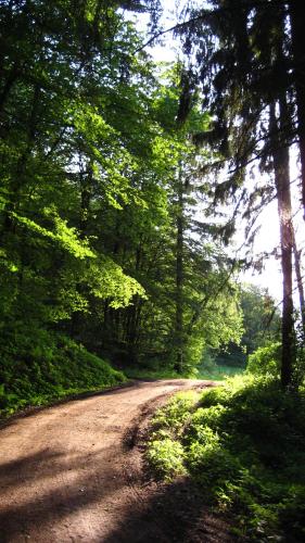 A környék, Apartment Merle in Wimbach