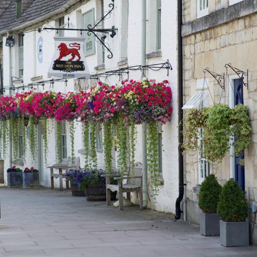 THE RED LION - image 12
