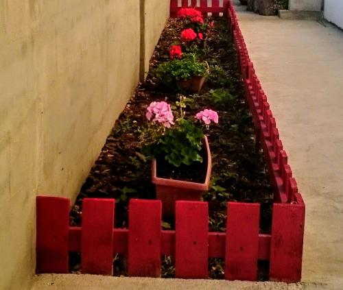 Apartment - Ground Floor image 10