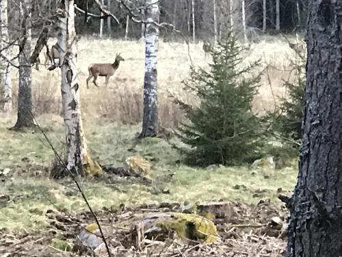 Vimmerby Lilla utsikten