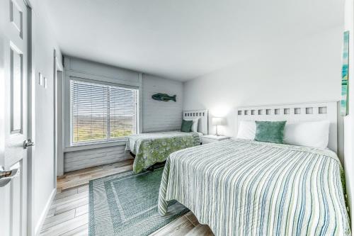 Coral Cay - image 4