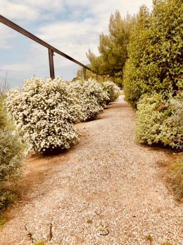 B&B El Ranxo B&B El Ranxo