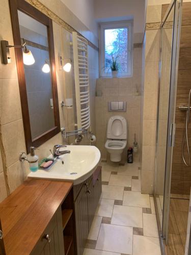 Excellent apartment with balcony, Cracovie (photo 6)