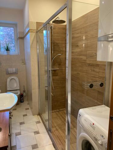 Excellent apartment with balcony, Cracovie (photo 7)