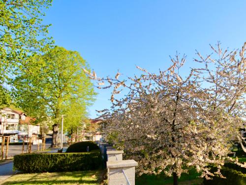 Pension Kurhausblick