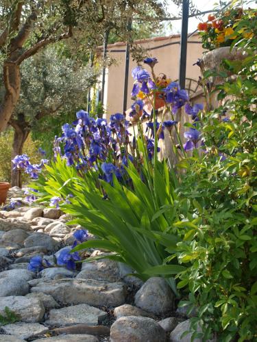 jardin d'antan 5