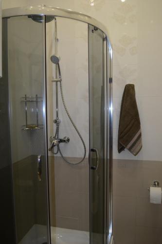 The Heart of Lviv Apartments - Lviv - image 10