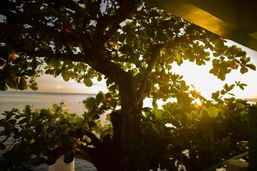 Nas proximidades, Ocean's Edge Lodge Restaurant & Bar in Roseau