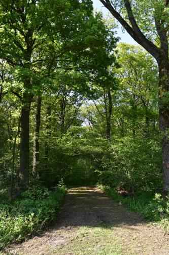 Jachthuis Au Bois Du Gheer