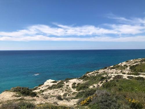 Apokryfo one bedroom apartment close to the beach - image 9