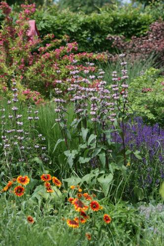 Auberge L'Art Auberge L'Art