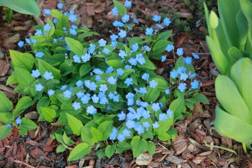 Auberge L'Art Auberge L'Art