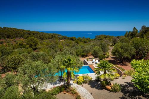 Luxury Private Holiday Villa with Private Pool Mallorca Villa 1087 - image 6