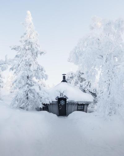 Golden Crown - Levin Iglut