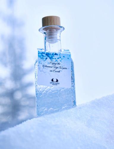 Golden Crown - Levin Iglut