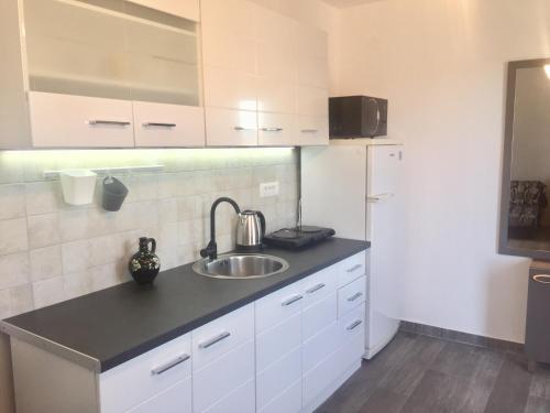 One-Bedroom Apartment image 10