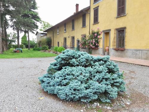 Giardino, Cadepaoli Vineyard & Roses - Bergamo Countryside in Palosco