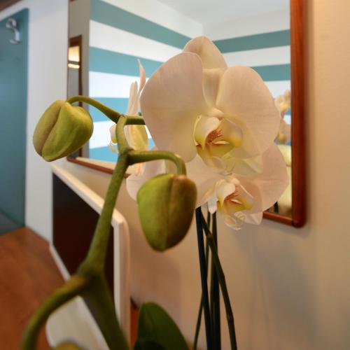 Astor Hotel - image 4