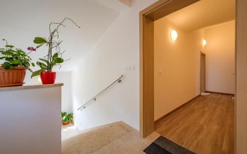 Apartments Nelle