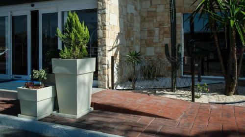 Holiday Inn Express and Suites Celaya by IHG