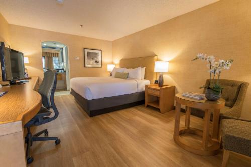 Best Western Plus Las Brisas Hotel Room Type - King Room - Non-Smoking