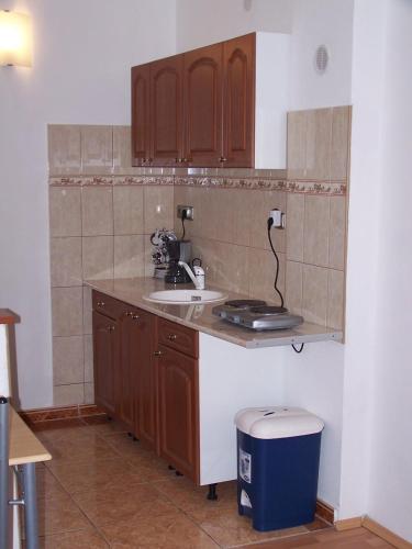 Akacia Apartment - FREE INSIDE PARKING, 2 bedrooms, garden, next to centre, Budapešť (fotografie 7)