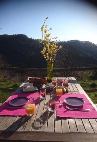 Le Mercou en Cévennes photo 16