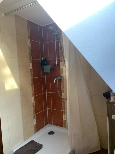 Single Room with Shared Bathroom