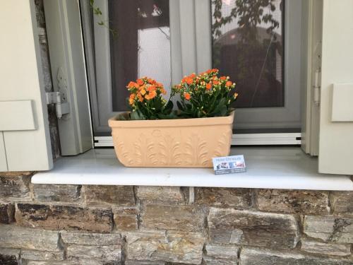 Hotel Chrisoula – Antiparos, UT