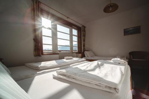 Hotel Večernice - image 9
