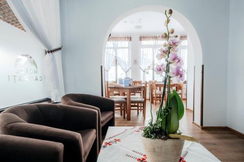 Hotel Carpati - main image