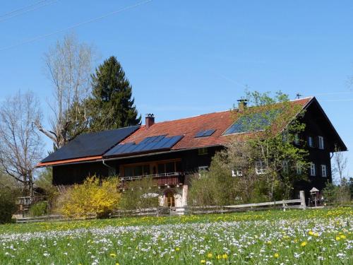 Ferienhof Hiemer - Apartment - Sulzberg